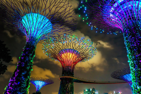 Supertrees grove at the Gardens by the Bay in Singapore