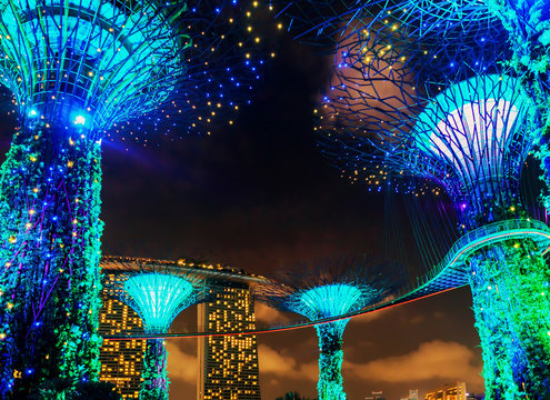 Supertrees grove by Gardens by the Bay in Singapore