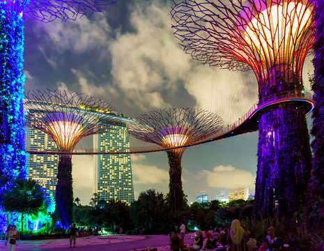 Supertrees grove in Gardens by the Bay in Singapore center