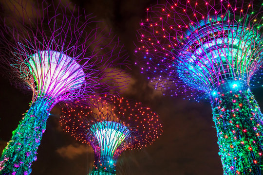 Supertrees grove in Gardens by the Bay in Singapore