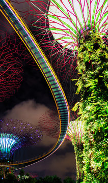 Supertrees grove of the Gardens by the Bay in Singapore