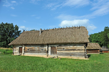 Fototapeta na wymiar Ancient hut with a straw roof