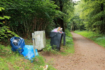 Müll im Wald