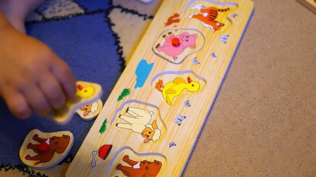 the child assembles a puzzle with animals