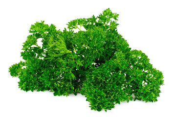 Parsley on White Background
