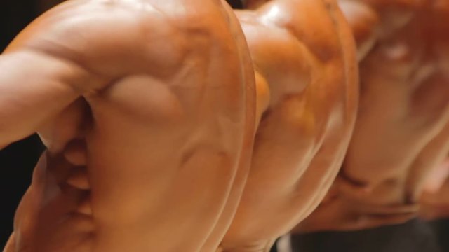 Professional bodybuilders demonstrating strong back muscles at competition