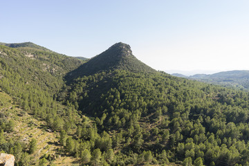 Fototapeta na wymiar Forest hill, City view from castle. Villafamés rural villa in C