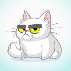 Vector illustration of cranky white cat. Cute fat cartoon cat with a cranky expression isolated. Cat icon