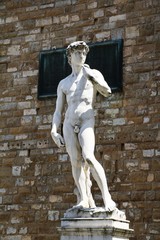 Naklejka premium David by Michelangelo in front of Palazzo Vecchio at Piazza della Signoria in Florence Italy