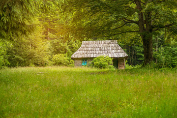 Fairy-tale house on an alpine meadow
