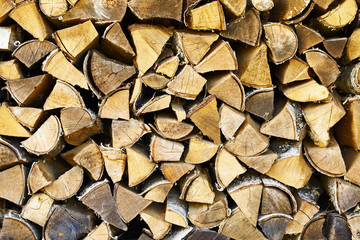 Rural background - dry birch wood