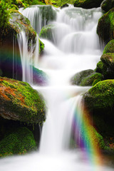 Fototapeta premium Waterfall on a mountain creek.