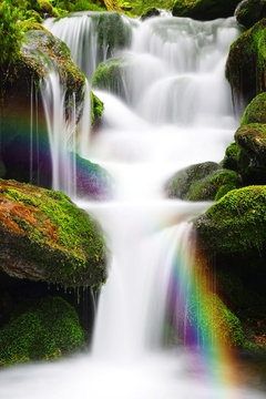 Fototapeta Waterfall on a mountain creek.