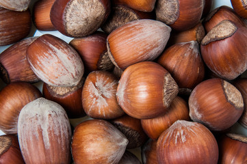 Close-up of chestnuts isolated on a white background