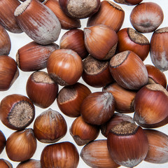 Close-up of chestnuts isolated on a white background