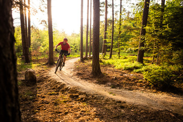 Mountain biker riding cycling in summer forest - 116648008