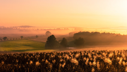 Sunset at field in morning mist © chrisre