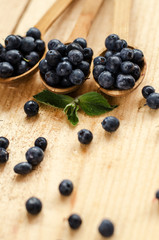 Blueberry 