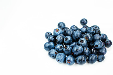 Little Berry Blueberry Hill