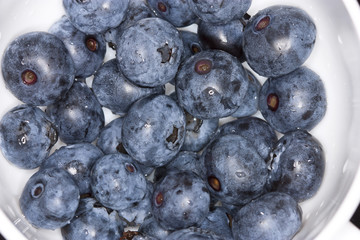 gathered blueberries
