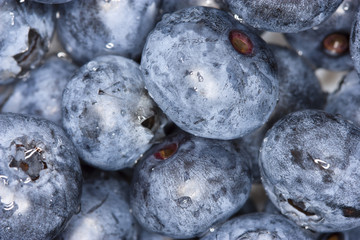 gathered blueberries