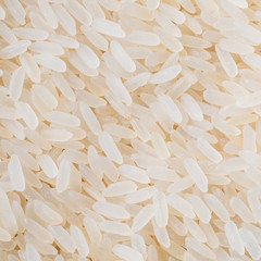 White Long Rice Background, Uncooked Raw Cereals
