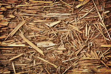 Rotten chips - natural background