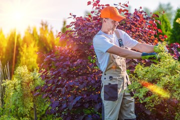Men Taking Care of Garden