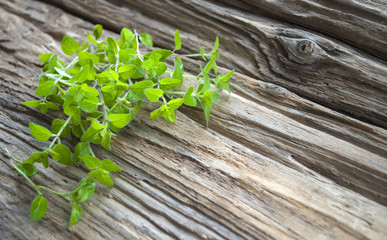 Frische Majoran Blätter - Origanum majorana - auf altem Holz / Treibholz Hintergrund 
