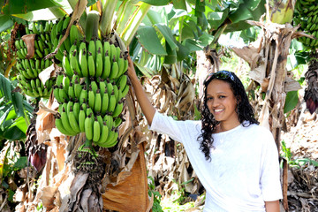 jeune femme dans un champs de banane