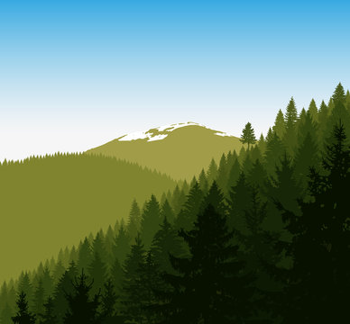  Panorama of mountains. Silhouette of green mountains with snow and coniferous trees on the background of blue sky. Can be used as eco banner.