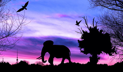 Jungle with old tree, birds and elephant on purple cloudy sunset background