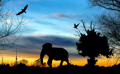 Fototapeta na wymiar Jungle with old tree, birds and elephant on blue and golden cloudy sunset background