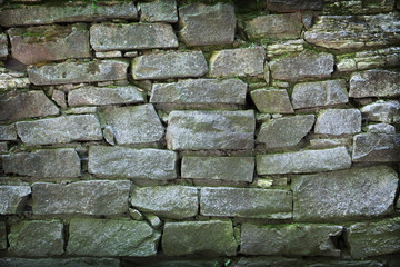 Stonework, green with water - background