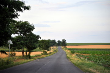 Highway between agricultural fields
