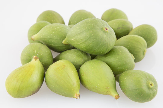 Higo - brevas - Ficus carica.