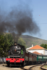 Obraz na płótnie Canvas Comboio Histórico do Douro
