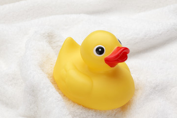 アヒル/白いバスタオルの上のおもちゃのアヒル