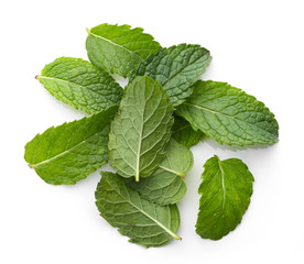 fresh green mint leaves