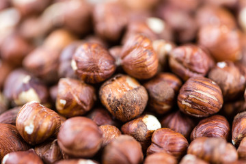 Hazenut (background image)