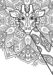 Beautiful card vector