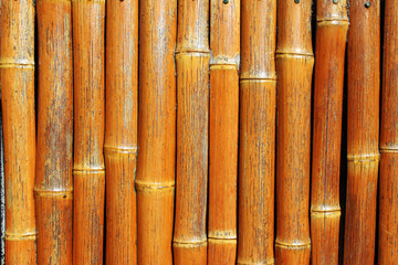 Vertical bamboo background