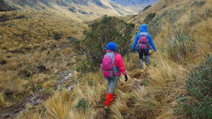 Tourists walking in the Cayambe Coca National Park