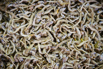 Dried fishes 