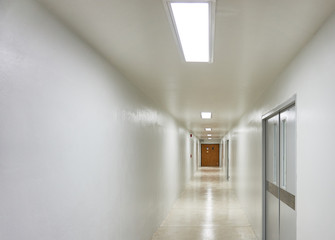 Wooden door on white and clean corridor