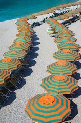 Rows of umbrellas on the beach