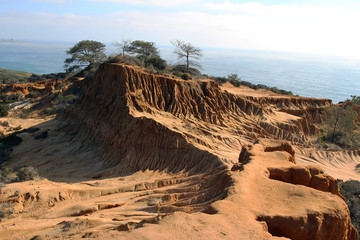 Sandstone cliffs with the ocean in the background, Torrey Pines State Natural Reserve, San Diego,...