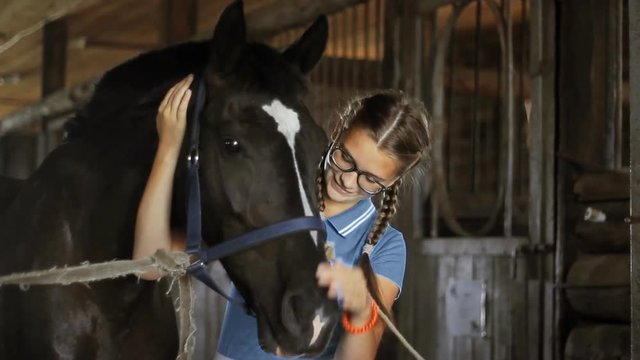 Girl takes care of the horse in the stable