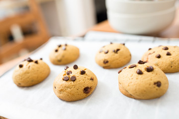 Chocolate cookies