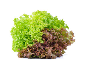 Red and green oak lettuce on white